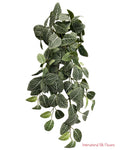 22'' Fittonia Hanging Bush ( PBH502-GR/WH )