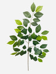 28” Sakaki Ficus Spray ( SF113 )