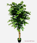 6’ Faux Twiggy Ficus Tree ( INT9A02 )