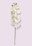 31” Real Touch Artificial Butterfly Orchid ( FO7193-Cream )