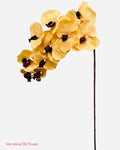 36" Silk Orchid Spray ( S1TJ16-Beige )