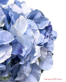 18" Silk Pongee Hydrangea Bush ( INT001-Blue )