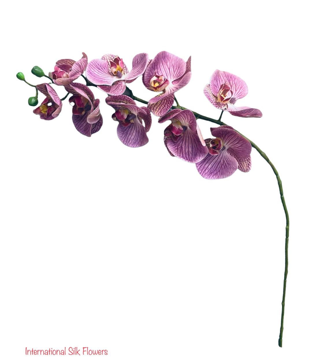 30" Real Touch Phalaenopsis Spray ( FSO173-PU/TT )