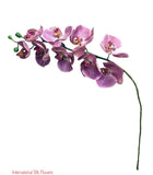 30" Real Touch Phalaenopsis Spray ( FSO173-PU/TT )