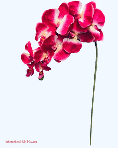 36" Silk Orchid Spray ( S1TJ16-Beauty )