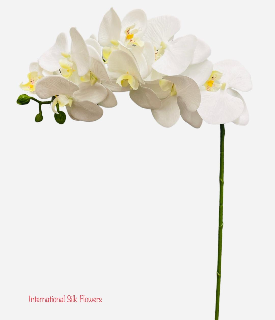 31” Real Touch Artificial Butterfly Orchid ( FO7193-Cream )