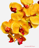 36" Silk Orchid Spray ( S1TJ16-Yellow ) INT57A