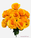 17" Satin Open Rose Bush ( INT398-Golden Yellow )