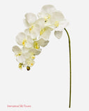 36" Silk Orchid Spray ( S1TJ16-Cream )