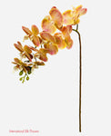 37'' Natural Touch Orchid ( INT053-Cream Pink )