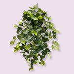 36'' Faux Philo Greenery Bush ( BHF625-GR )