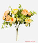 11'' Camellia Bush ( TC5369- Orange/Yellow  )