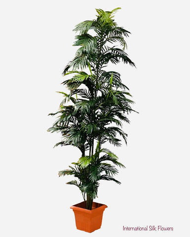 8' Areca Palm ( TAP882 )