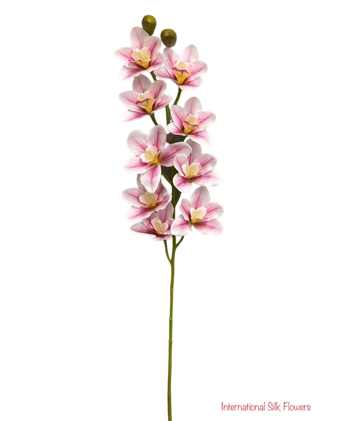 36'' Natural Touch Cymbidiu Orchid ( INT054-Cream Beauty )