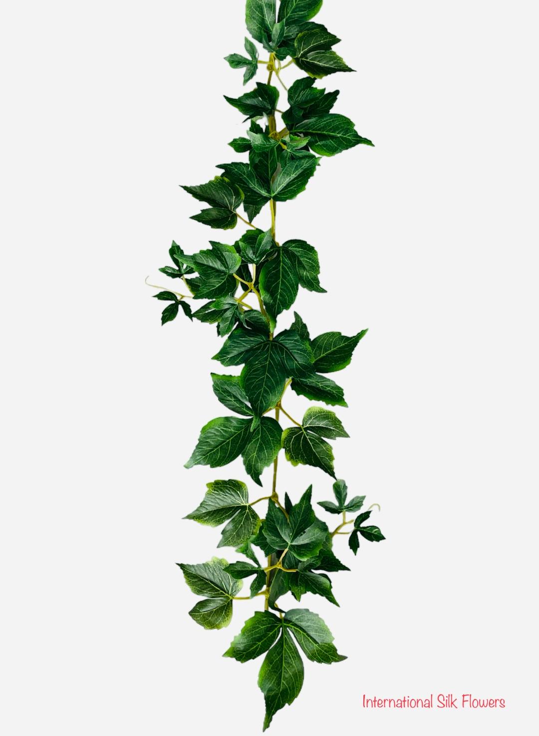 6' Boston Ivy Garland ( 5078 )