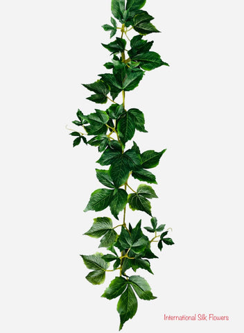 6' Boston Ivy Garland ( 5078 )