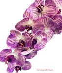 42" Real Touch Phalaenopsis Spray ( FO7199-CPU )