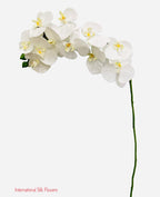37" Real Touch Phalaenopsis Spray ( FO7195-CR )