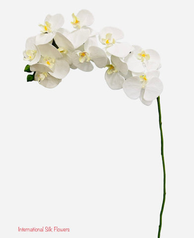 37" Real Touch Phalaenopsis Spray ( FO7195-CR )